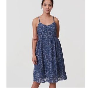 LOFT Blue Lace Cami Fit and Flare Dress Size 6 Petite
